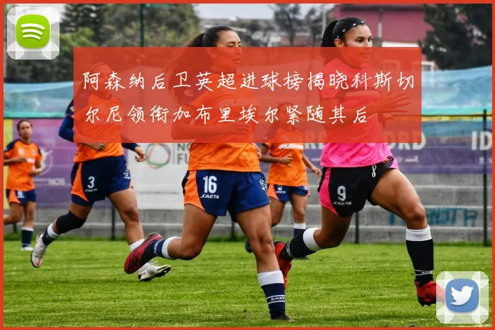 阿森纳后卫英超进球榜揭晓科斯切尔尼领衔加布里埃尔紧随其后